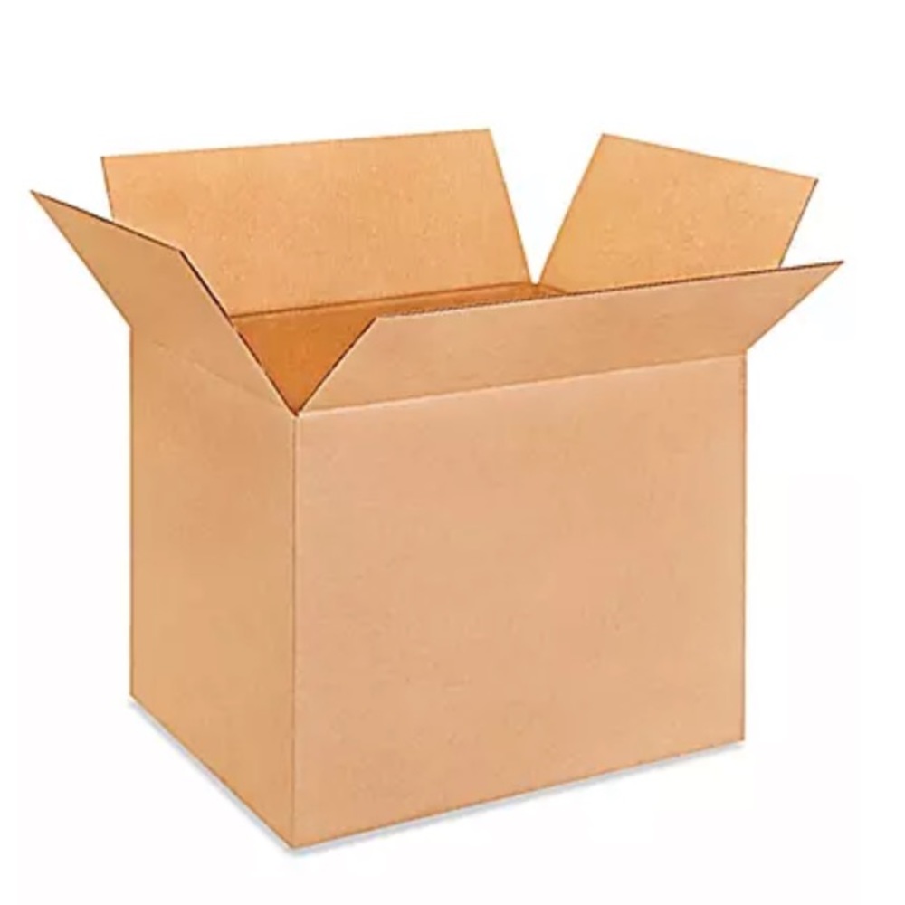 Brandy Melville Mystery Box (10 items)